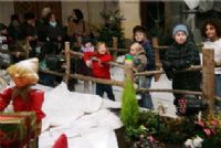 Décor sur le thème des oursons de Noël. Du 3 décembre 2011 au 1er janvier 2012 à Calais. Pas-de-Calais. 
